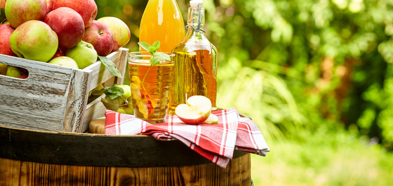 Making Apple Cider – Mother Earth News - Vimarsana News